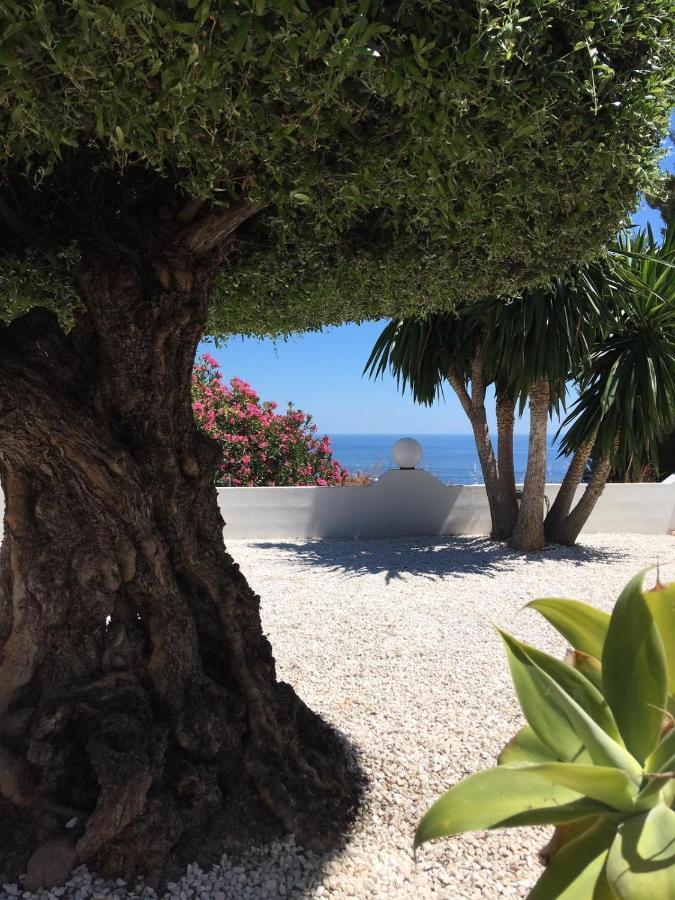 Casa Capricornio Bed & Breakfast Marbella Eksteriør bilde