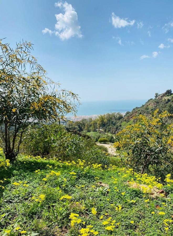 Casa Capricornio Bed & Breakfast Marbella Eksteriør bilde