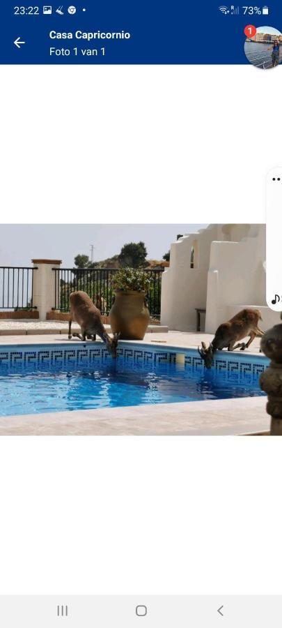 Casa Capricornio Bed & Breakfast Marbella Eksteriør bilde